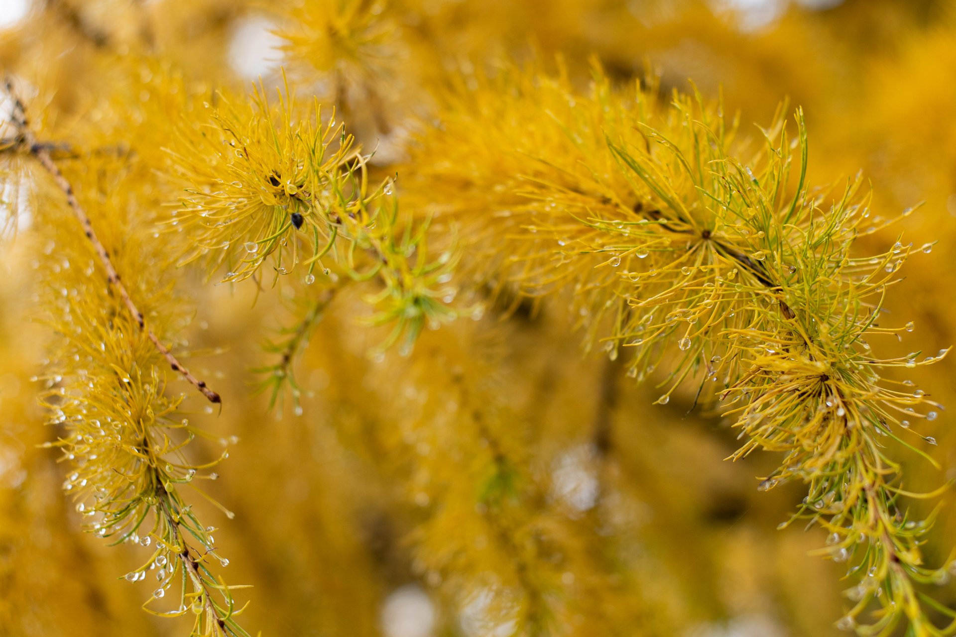Доброе утро, регион!. Коротко о погоде: холодно