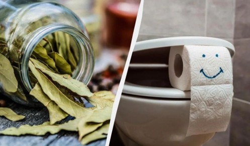 Почему лавровый лист стоит держать в туалете: полезные советы для хозяйственного человека