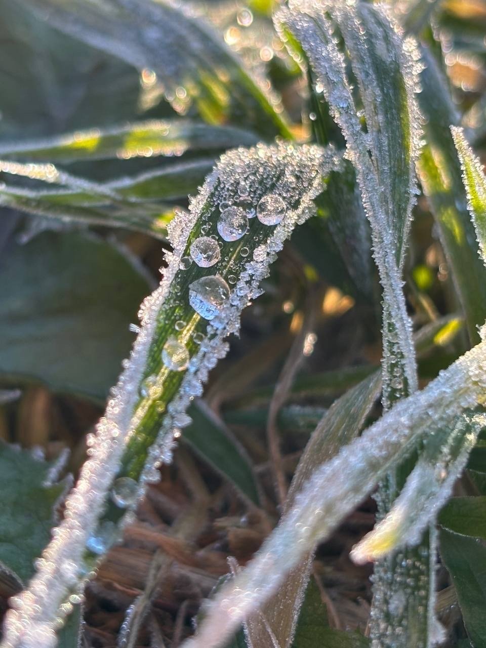 Доброе утро, регион!. Сегодня нас ждет классическая северная погода: облака и осадки — где-то снег, где-то дождь Доброе утро, регион!. Сегодня нас ждет классическая северная погода: облака и осадки — где-то снег, где-то дождь