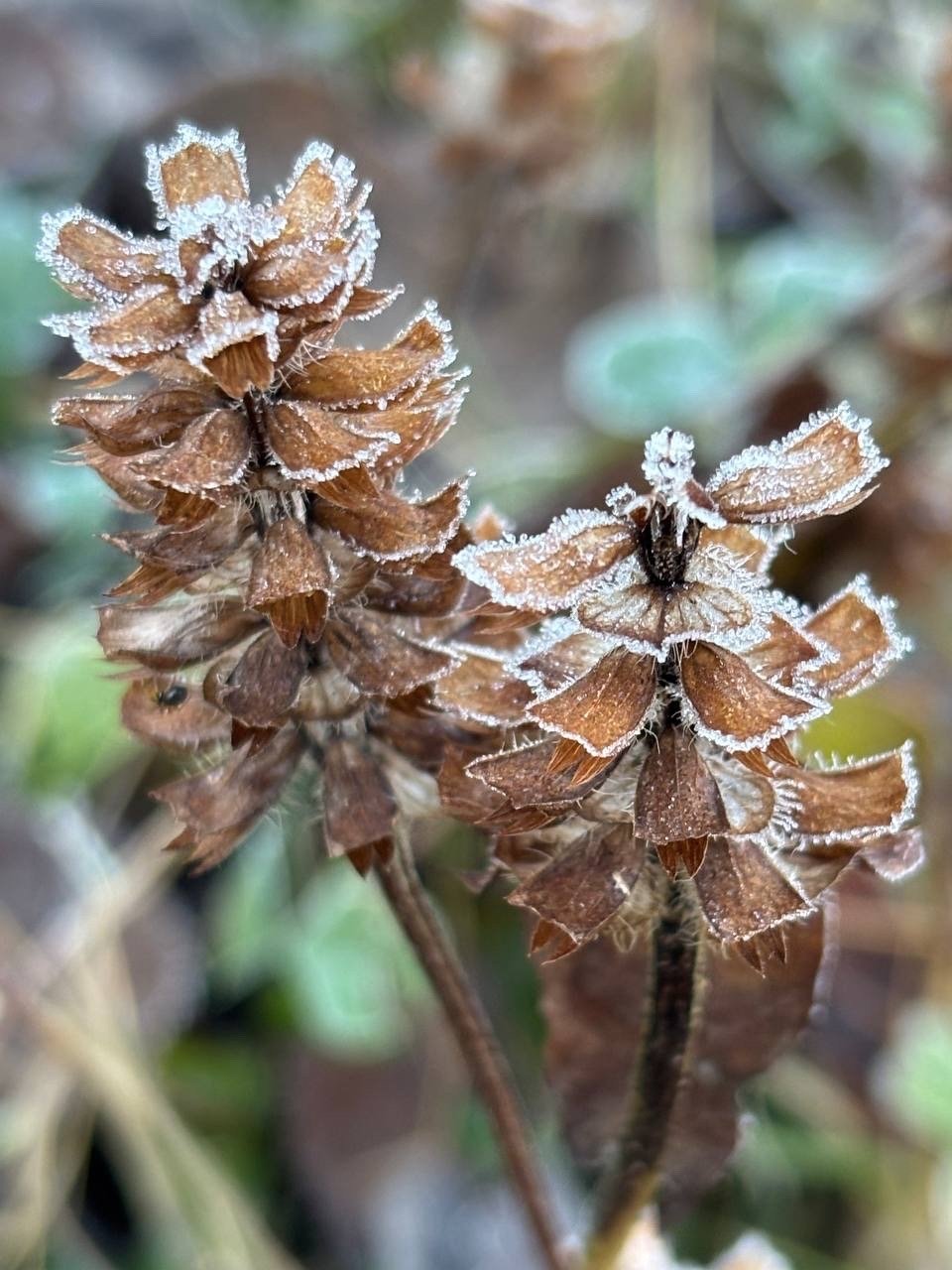 Доброе утро, регион!. Сегодня нас ждет классическая северная погода: облака и осадки — где-то снег, где-то дождь Доброе утро, регион!. Сегодня нас ждет классическая северная погода: облака и осадки — где-то снег, где-то дождь