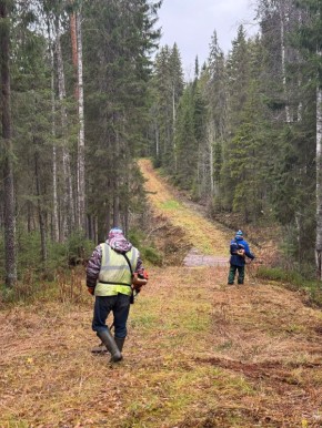Соскучились по лыжам? За окном еще "плюс", а на стадионе в Малых Карелах уже вовсю готовят лыжню