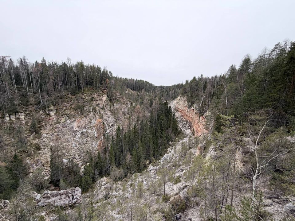 Игорь Арсентьев: Маме снова 18!Очень давно не был дома и чем старше становлюсь, тем отчетливее понимаю, что занятость-это всего лишь отговорка Игорь Арсентьев: Маме снова 18!Очень давно не был дома и чем старше становлюсь, тем отчетливее понимаю, что занятость-это всего лишь отговорка