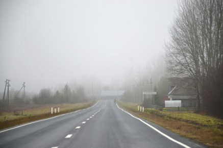 Туман на трассе А-215 в Каргопольском округе, последний день октября 2025 года