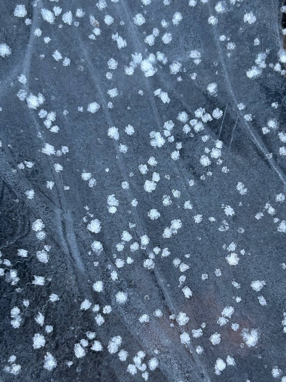 Доброе утро, регион!. Сегодня нас ждет классическая северная погода: облака и осадки — где-то снег, где-то дождь Доброе утро, регион!. Сегодня нас ждет классическая северная погода: облака и осадки — где-то снег, где-то дождь