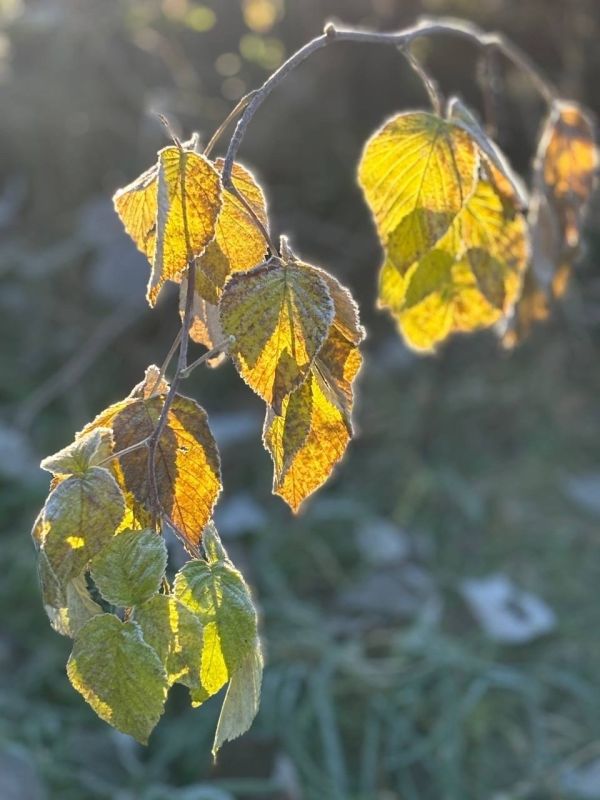  , !.      :     - , - 