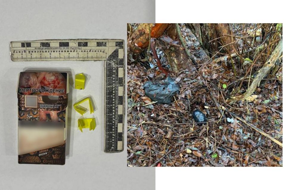 Сотрудниками отдела по контролю за оборотом наркотиков ОМВД России по городу Северодвинску по подозрению в распространении запрещенных веществ были установлены мужчина 1995-го и девушка 2001 г.р. – оба жители Цигломенского...