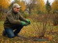 Ноябрьский уход за растениями: как обрезка деревьев и кустарников подарит вашему саду новую жизнь