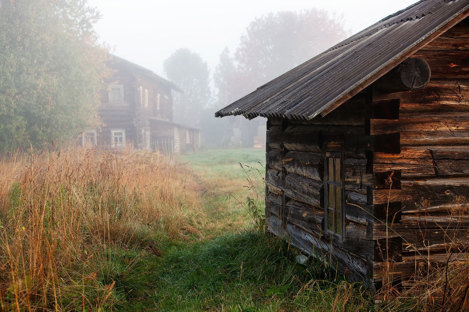 Давно не делились мы с вами красотой, которую снимает Сергей Олюков Давно не делились мы с вами красотой, которую снимает Сергей Олюков