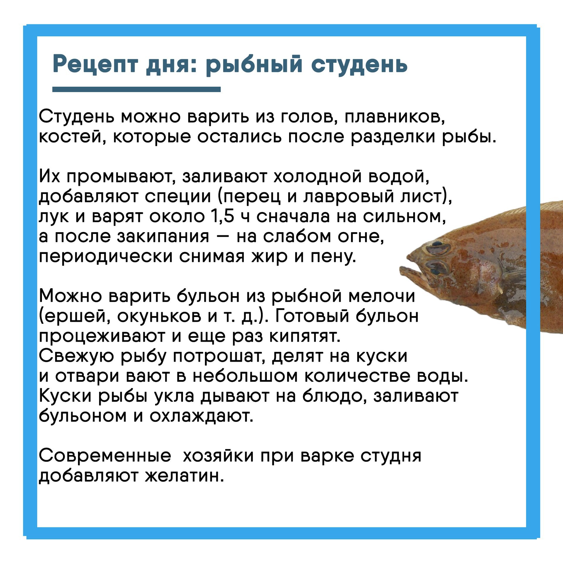 В День холодца, который традиционно отмечается 7 ноября, предлагаем забыть о стандартной новогодней версии этого блюда и обратиться к рецепту северной кухни В День холодца, который традиционно отмечается 7 ноября, предлагаем забыть о стандартной новогодней версии этого блюда и обратиться к рецепту северной кухни