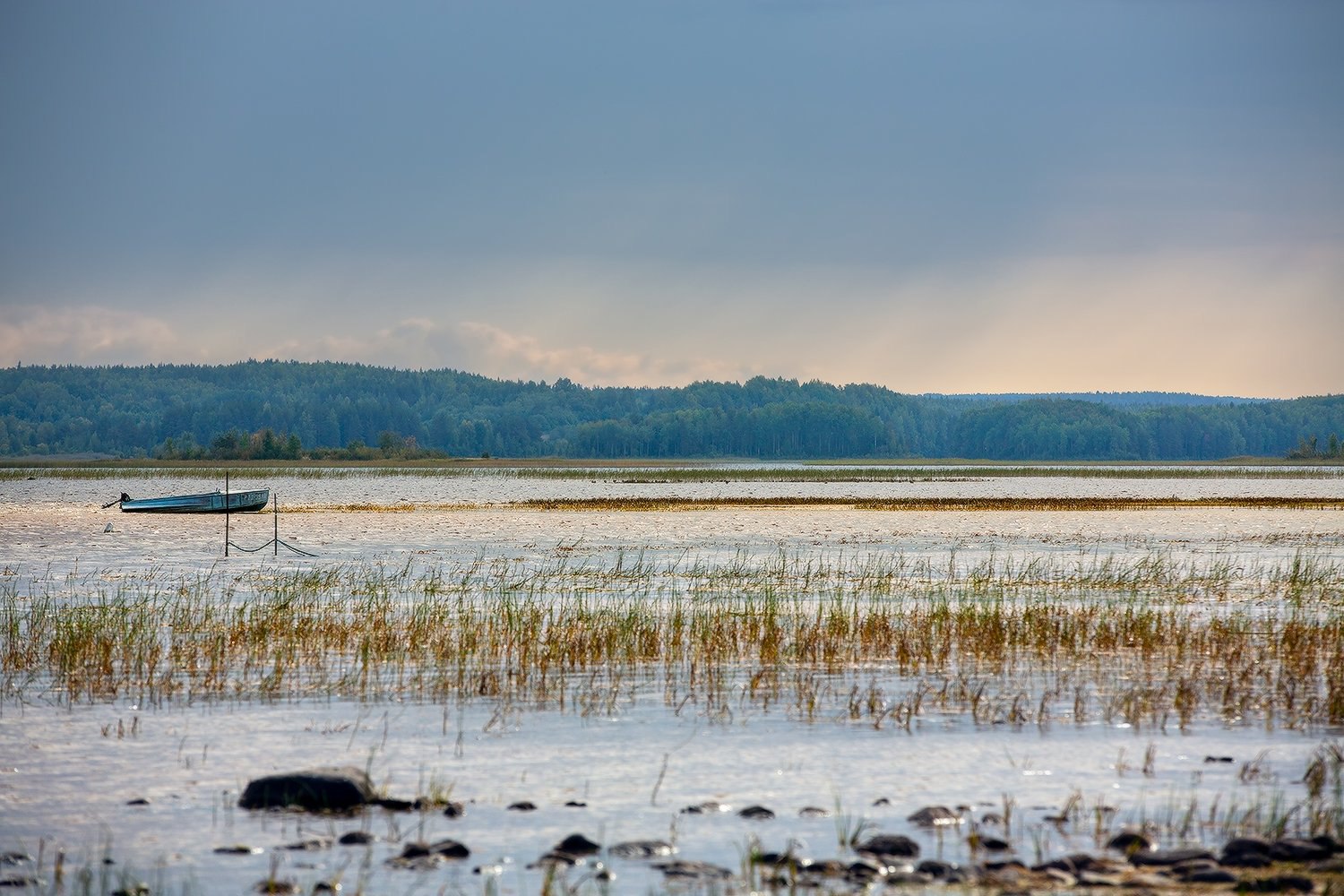 Давно не делились мы с вами красотой, которую снимает Сергей Олюков Давно не делились мы с вами красотой, которую снимает Сергей Олюков
