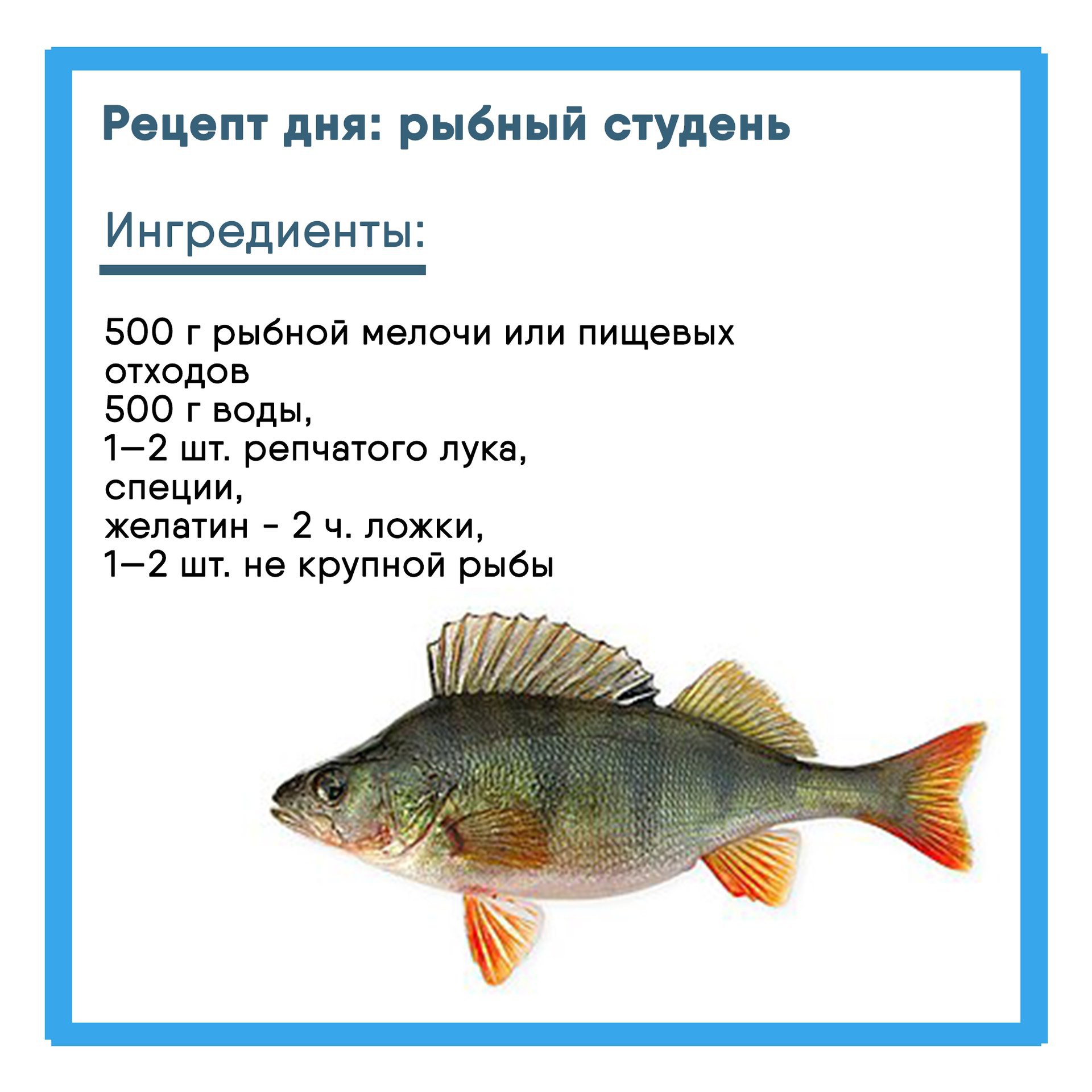 В День холодца, который традиционно отмечается 7 ноября, предлагаем забыть о стандартной новогодней версии этого блюда и обратиться к рецепту северной кухни