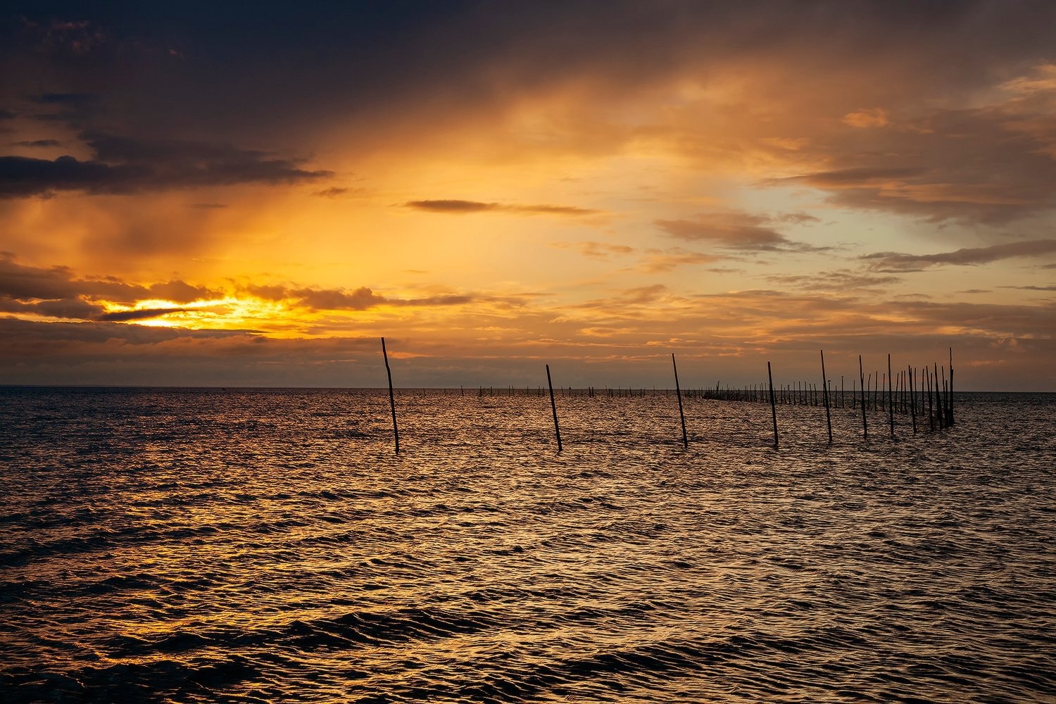 Давно не делились мы с вами красотой, которую снимает Сергей Олюков Давно не делились мы с вами красотой, которую снимает Сергей Олюков