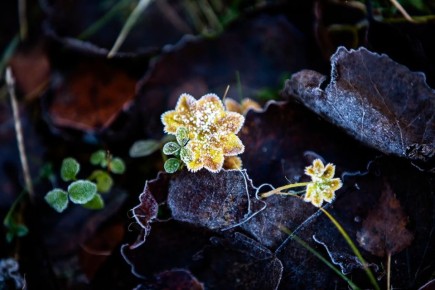 Давно не делились мы с вами красотой, которую снимает Сергей Олюков