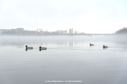 Как же красиво было вчера! Туманная Кузнечиха в объективе Анны Мартыновой