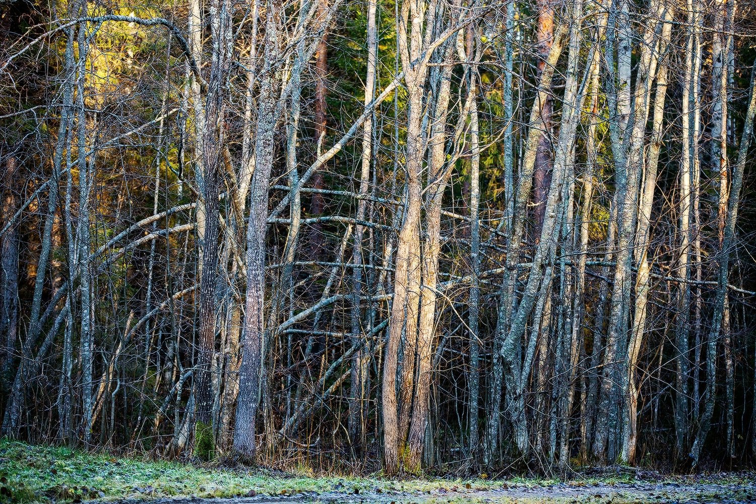 Давно не делились мы с вами красотой, которую снимает Сергей Олюков Давно не делились мы с вами красотой, которую снимает Сергей Олюков