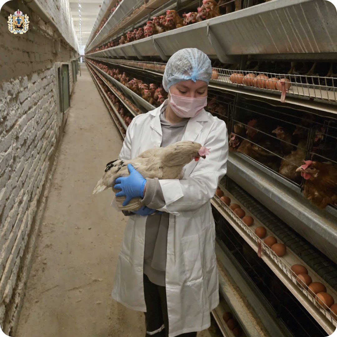 Марта Туголукова закончила архангельский многопрофильный колледж и трудится зоотехником