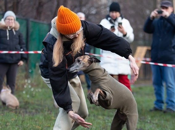 В прошедшие выходные на учебно-дрессировочной площадке в Соломбале было невероятно весело и шумно! Здесь прошел праздник «Человек собаке друг», который организовала Федерация кинологического спорта Архангельска В прошедшие выходные на учебно-дрессировочной площадке в Соломбале было невероятно весело и шумно! Здесь прошел праздник «Человек собаке друг», который организовала Федерация кинологического спорта Архангельска