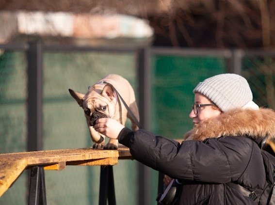 В прошедшие выходные на учебно-дрессировочной площадке в Соломбале было невероятно весело и шумно! Здесь прошел праздник «Человек собаке друг», который организовала Федерация кинологического спорта Архангельска В прошедшие выходные на учебно-дрессировочной площадке в Соломбале было невероятно весело и шумно! Здесь прошел праздник «Человек собаке друг», который организовала Федерация кинологического спорта Архангельска