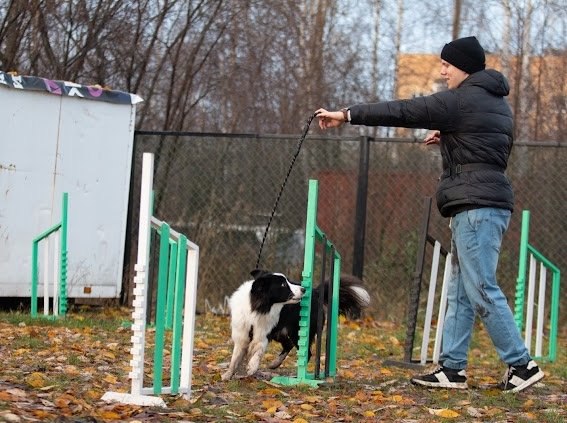 В прошедшие выходные на учебно-дрессировочной площадке в Соломбале было невероятно весело и шумно! Здесь прошел праздник «Человек собаке друг», который организовала Федерация кинологического спорта Архангельска В прошедшие выходные на учебно-дрессировочной площадке в Соломбале было невероятно весело и шумно! Здесь прошел праздник «Человек собаке друг», который организовала Федерация кинологического спорта Архангельска