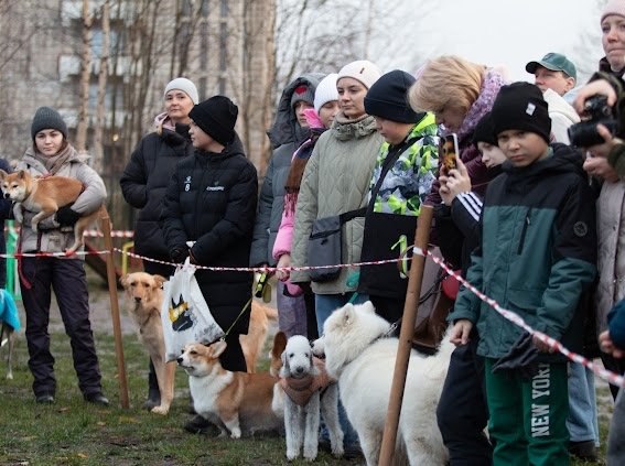 В прошедшие выходные на учебно-дрессировочной площадке в Соломбале было невероятно весело и шумно! Здесь прошел праздник «Человек собаке друг», который организовала Федерация кинологического спорта Архангельска В прошедшие выходные на учебно-дрессировочной площадке в Соломбале было невероятно весело и шумно! Здесь прошел праздник «Человек собаке друг», который организовала Федерация кинологического спорта Архангельска