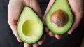 Не проращивайте и не выбрасывайте: для косточки авокадо нашлось полезное применение