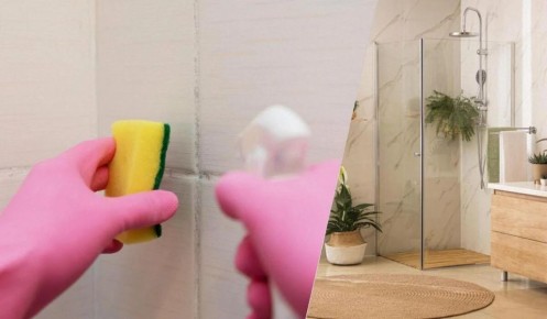 Легкие способы навсегда избавиться от черной плесени: советы, которые работают