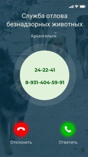 ? !.  ,        ?     ,      : 24-22-41  8-931-404-59-91