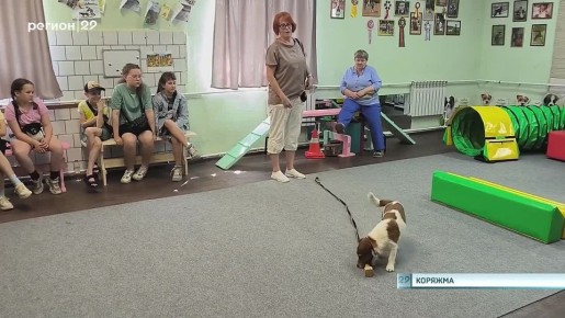 В Коряжме реализуется важный социальный проект «Не бросай меня, человек!»