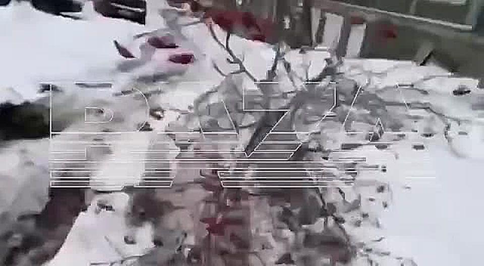 Мурманск парализовало из-за мощной метели с грозой: около 16 рейсов задержаны, на нескольких федеральных участках трасс перекрыто движение