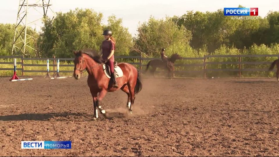 За травму ребенка во время верховой езды конюх заплатит штраф
