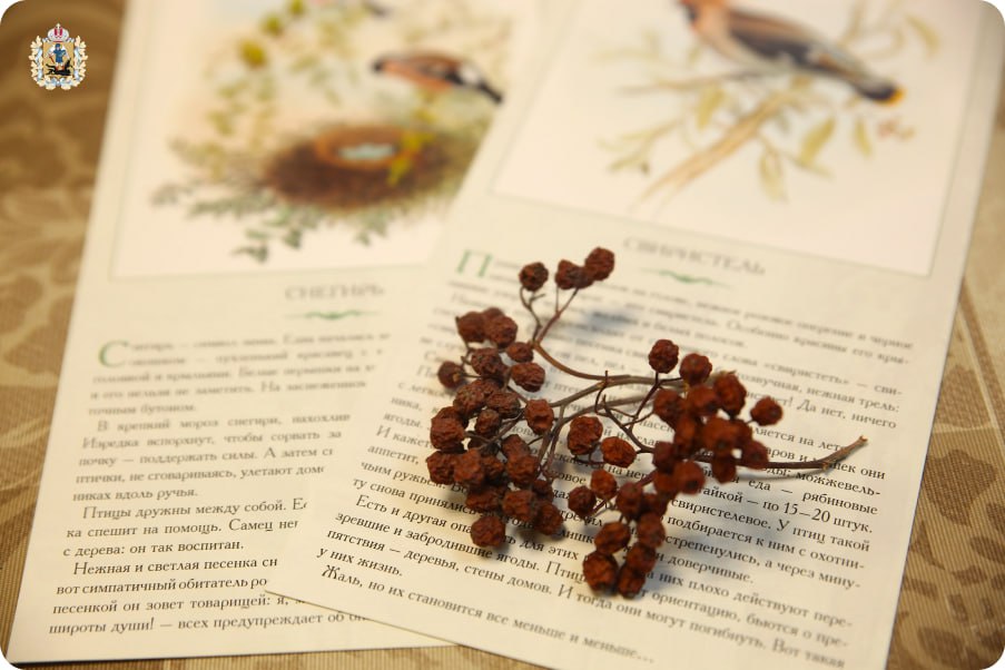 В деревне Лопшеньга Онежского округа занятия школьного лесничества ведет писательница Евфросиния Капустина В деревне Лопшеньга Онежского округа занятия школьного лесничества ведет писательница Евфросиния Капустина