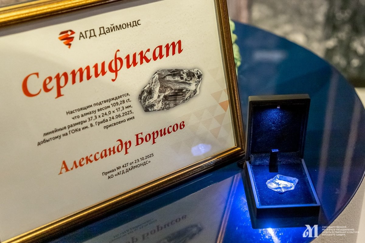 В день рождения Александра Борисова, 14 ноября, в музее художественного освоения Арктики произошло по-настоящему символическое событие