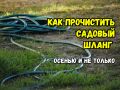Как освежить садовый шланг осенью: хитрости для борьбы с водорослями