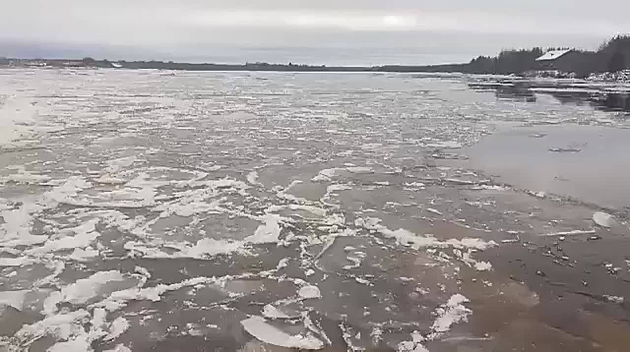 Срочно о переправах на Пинежье! Внимание, ограничения!