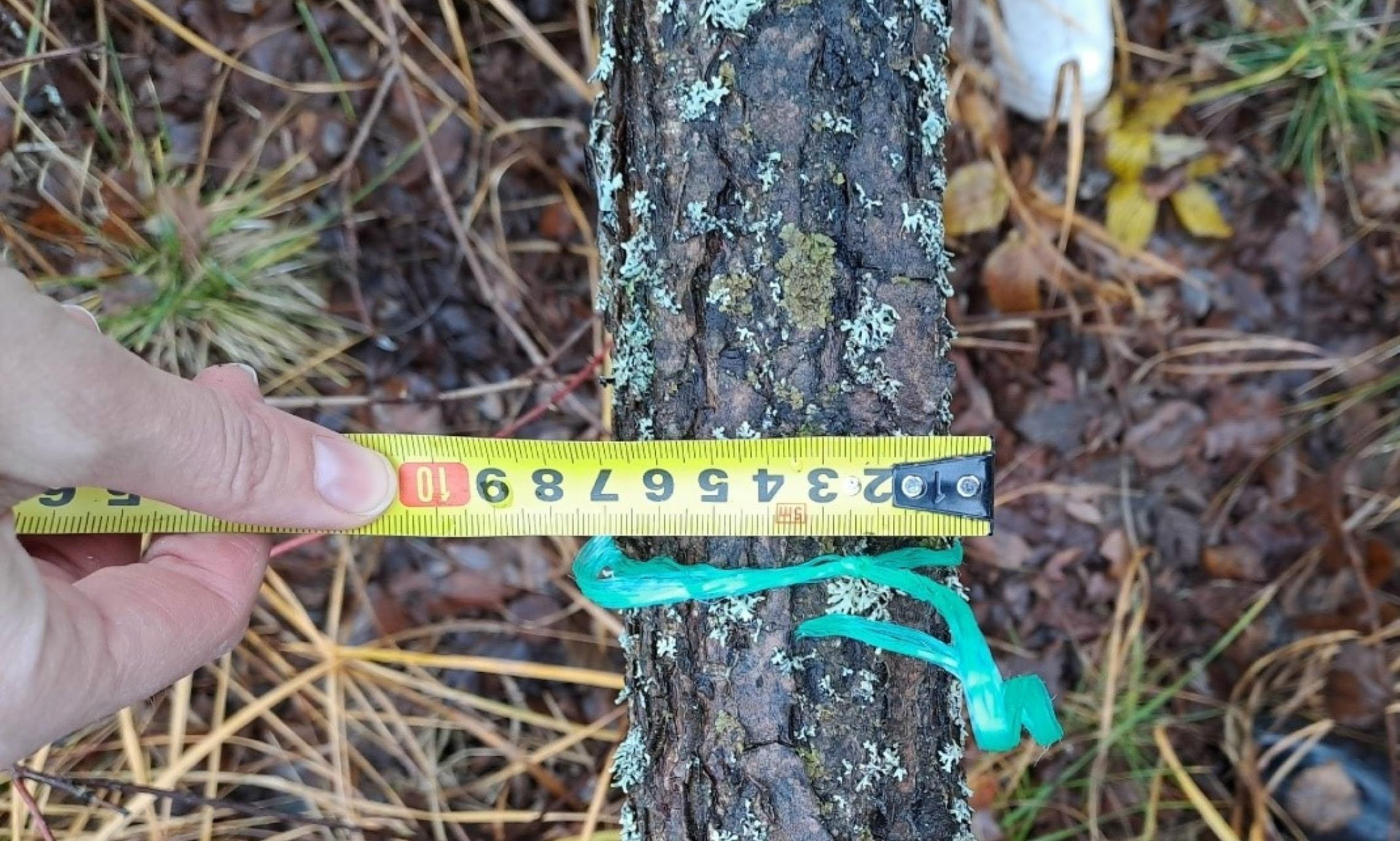 Какие новости «Региона 29» привлекли внимание читателей на уходящей неделе? Вот топ новостей: Какие новости «Региона 29» привлекли внимание читателей на уходящей неделе? Вот топ новостей: