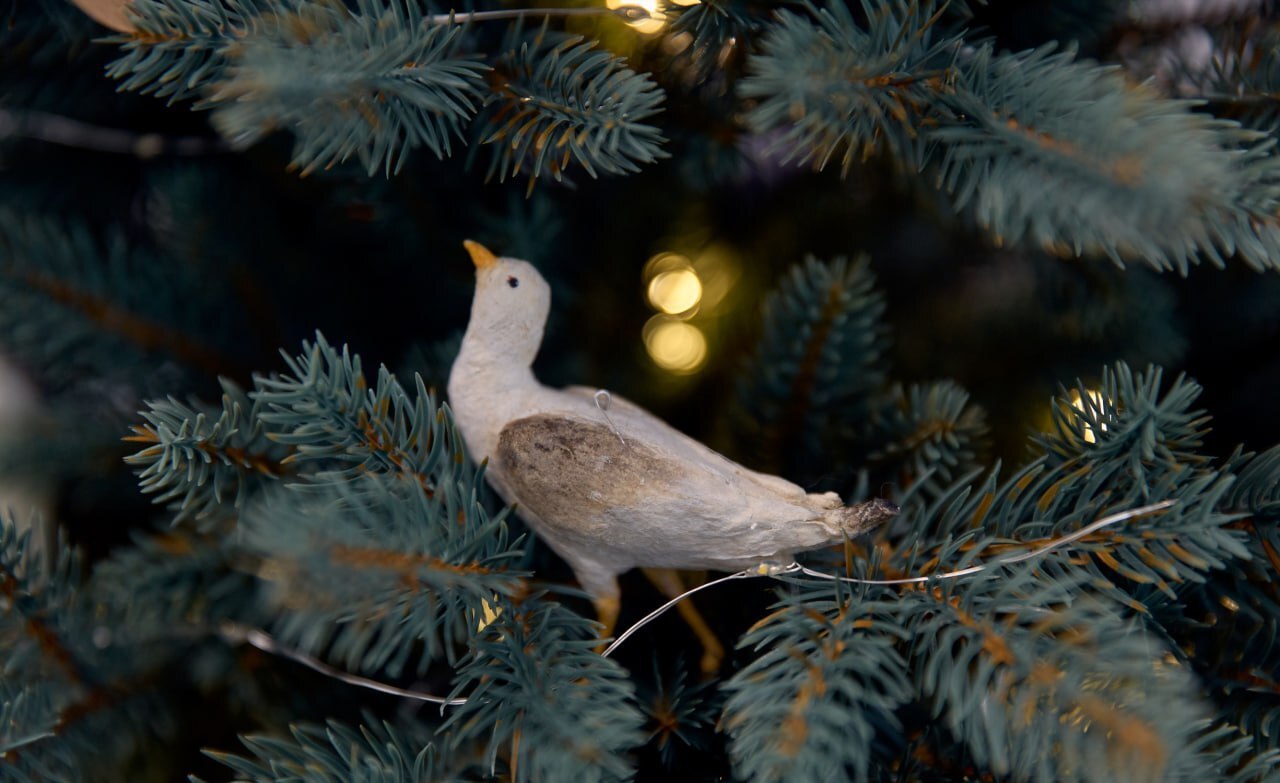 В Архангельске состоится маркет северных брендов В Архангельске состоится маркет северных брендов