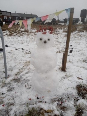 Вот такого красавца-снеговика слепили в Пинежском округе!