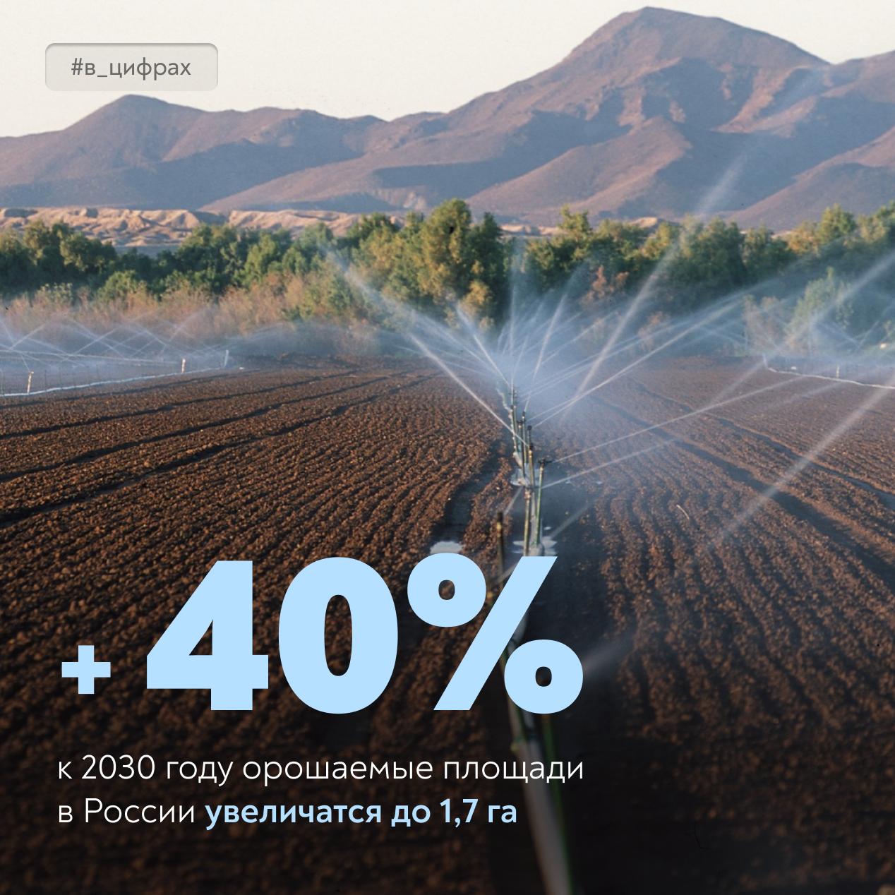 Мелиорация – основа стабильного урожая