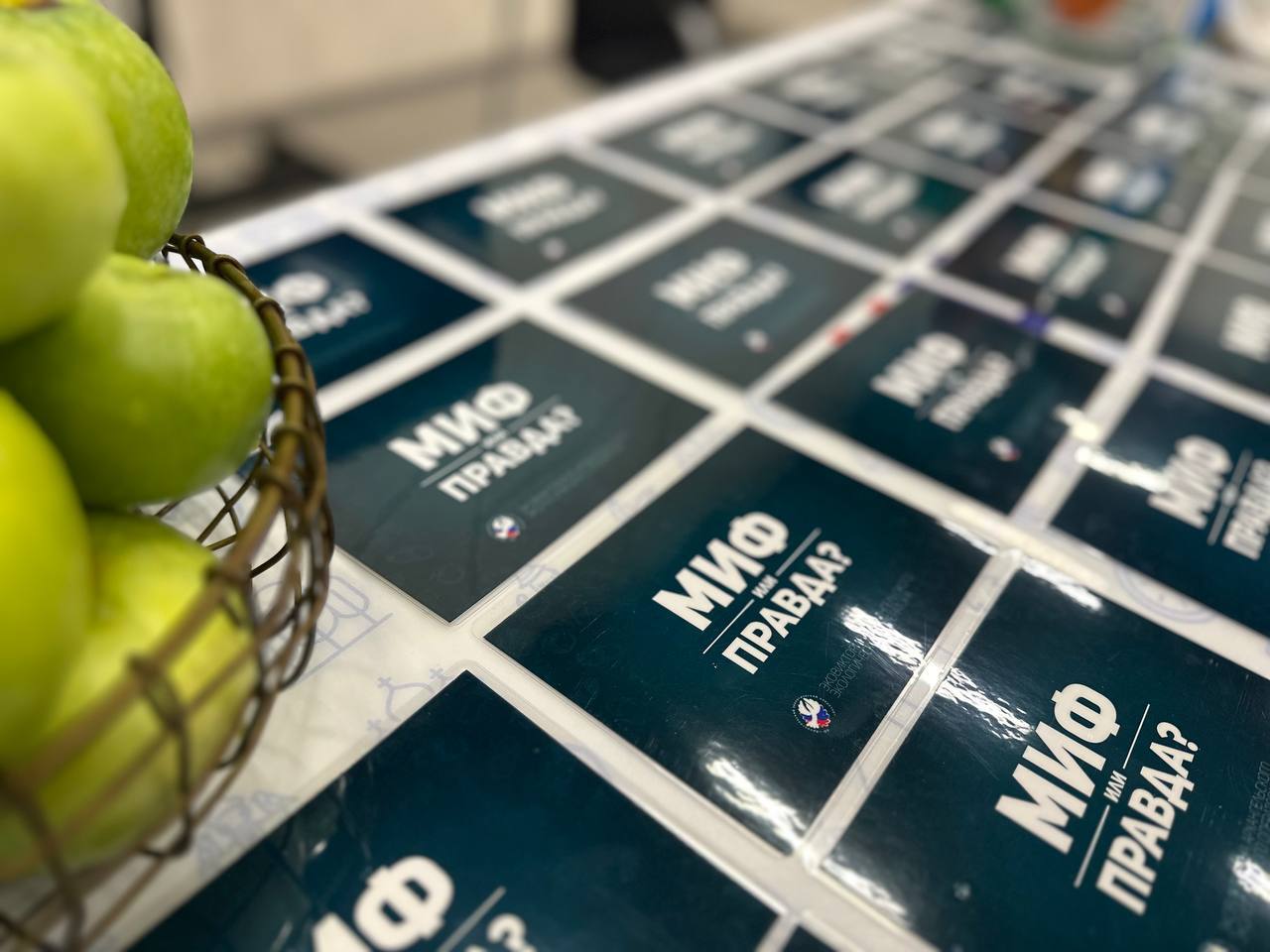 Итоги первого экофеста «Начни с себя, Поморье!» в Архангельске! Итоги первого экофеста «Начни с себя, Поморье!» в Архангельске!