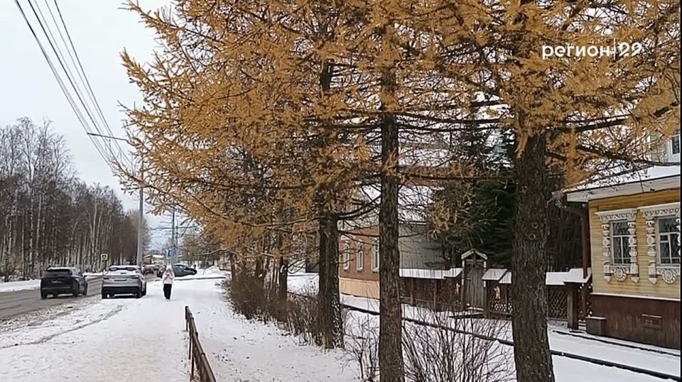 Доброе утро, регион!. В Архангельске и северных районах погода помаленьку налаживается: