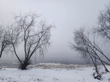 Это утро выдалось в Архангельске туманным