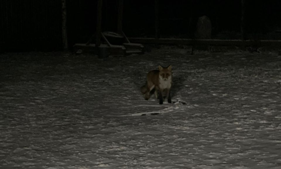 ����� ���� ������ �� ����� �������������