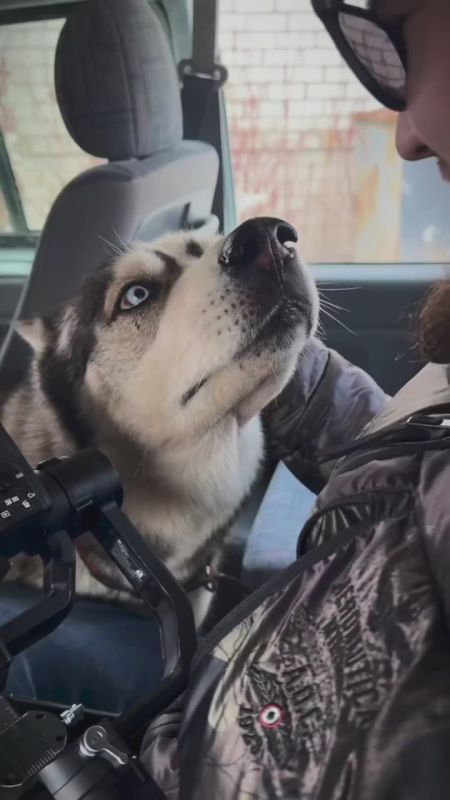 Со Всемирным днём телевидения, Регион 29