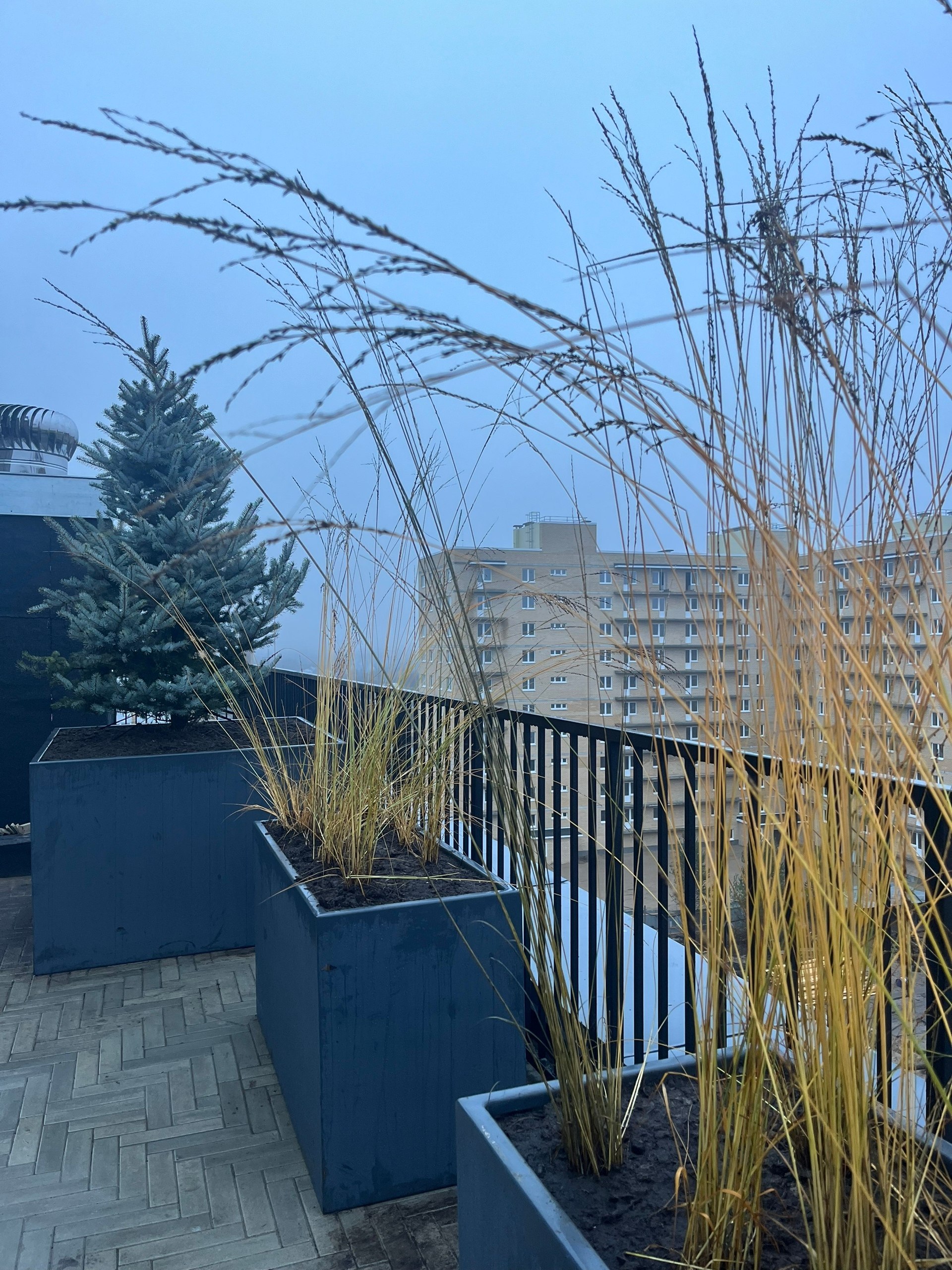 Такого в Архангельске ещё не было: деревья высадили на крыше новостройки Такого в Архангельске ещё не было: деревья высадили на крыше новостройки