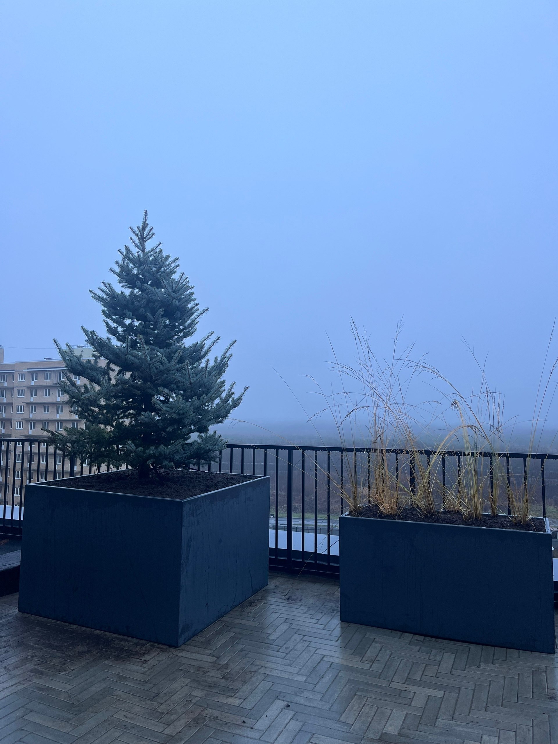 Такого в Архангельске ещё не было: деревья высадили на крыше новостройки Такого в Архангельске ещё не было: деревья высадили на крыше новостройки