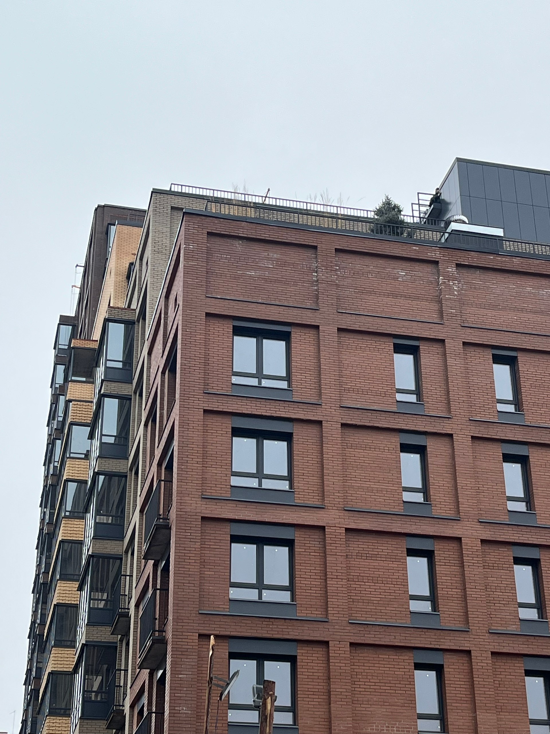 Такого в Архангельске ещё не было: деревья высадили на крыше новостройки Такого в Архангельске ещё не было: деревья высадили на крыше новостройки