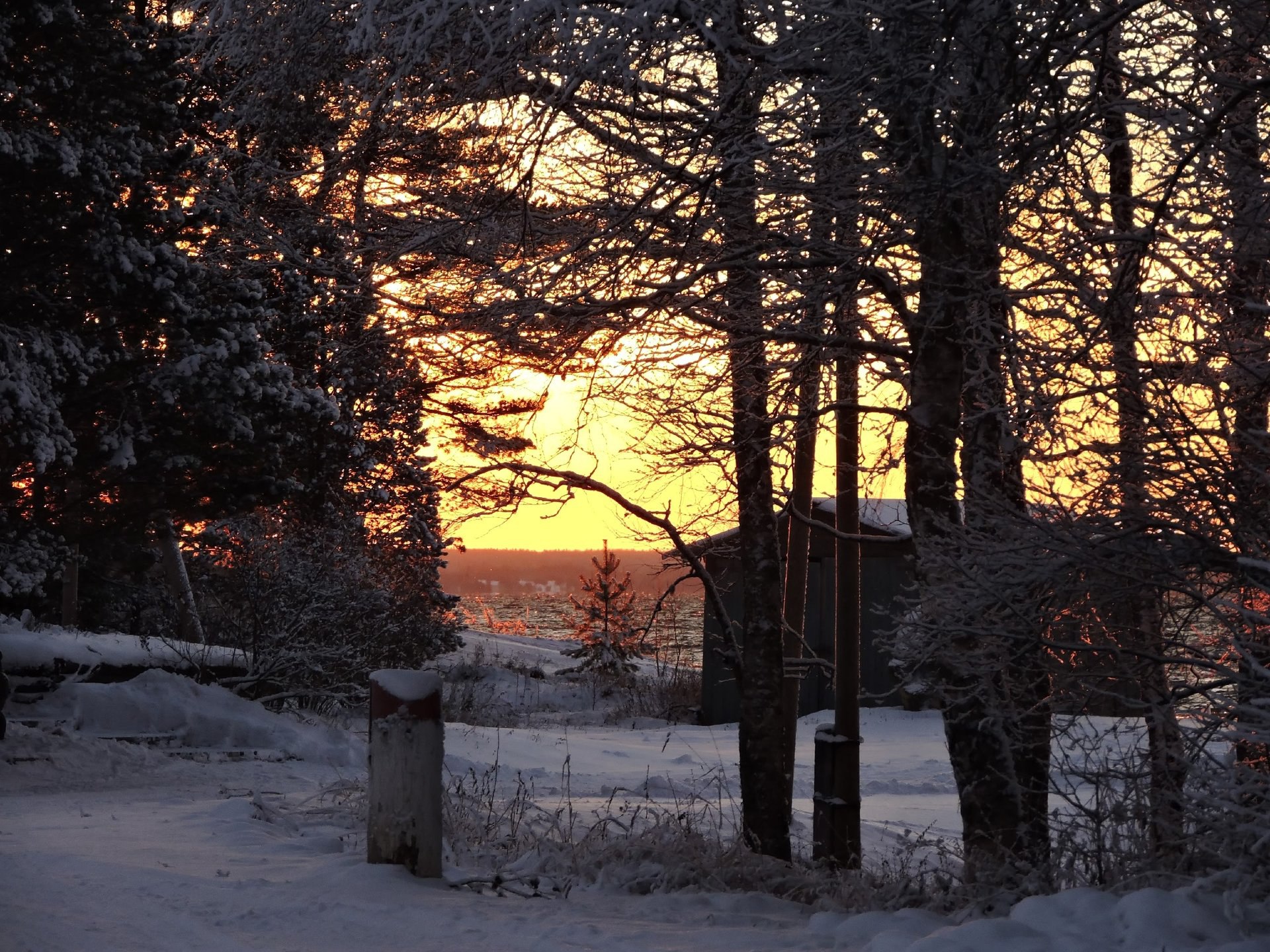 Утро на берегу Лёкшмозера. Яркие фотографии Марии Кривоноговой Утро на берегу Лёкшмозера. Яркие фотографии Марии Кривоноговой