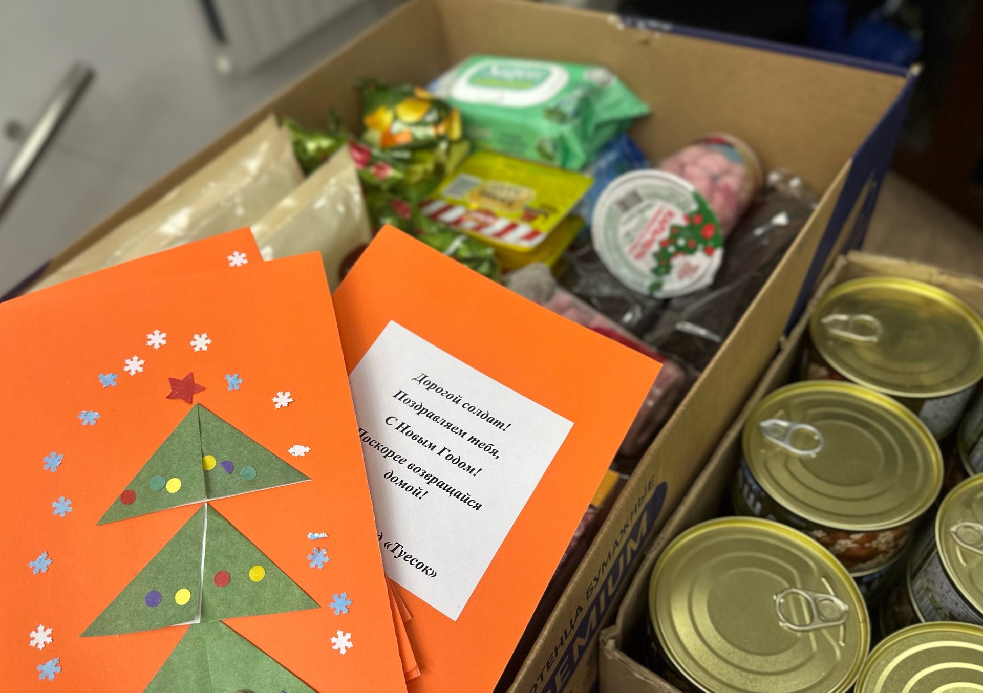 «Новогодняя почта»: примите участие в сборе посылок участникам СВО
