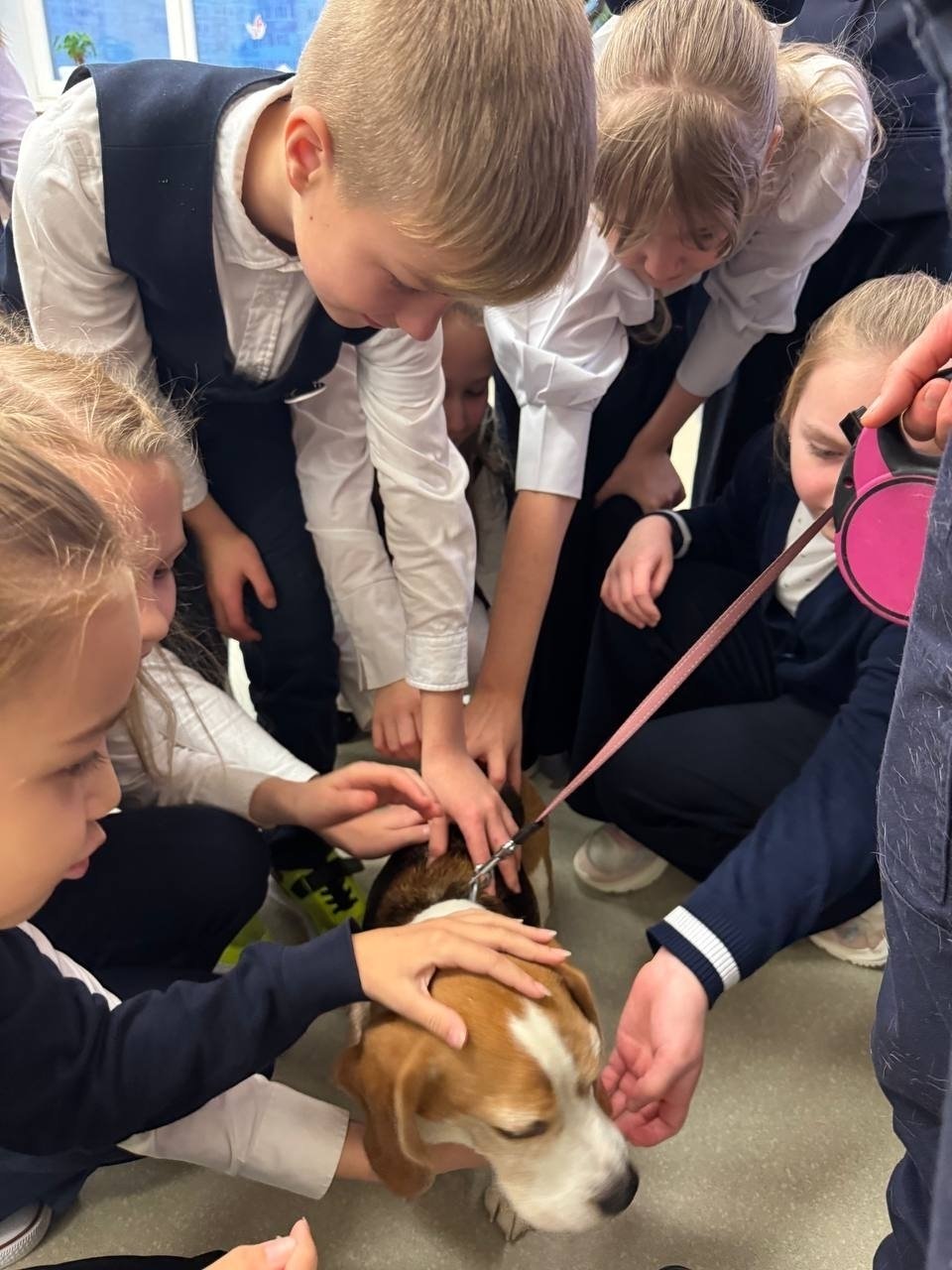 Школьники узнали о профессии кинолог-спасатель Школьники узнали о профессии кинолог-спасатель