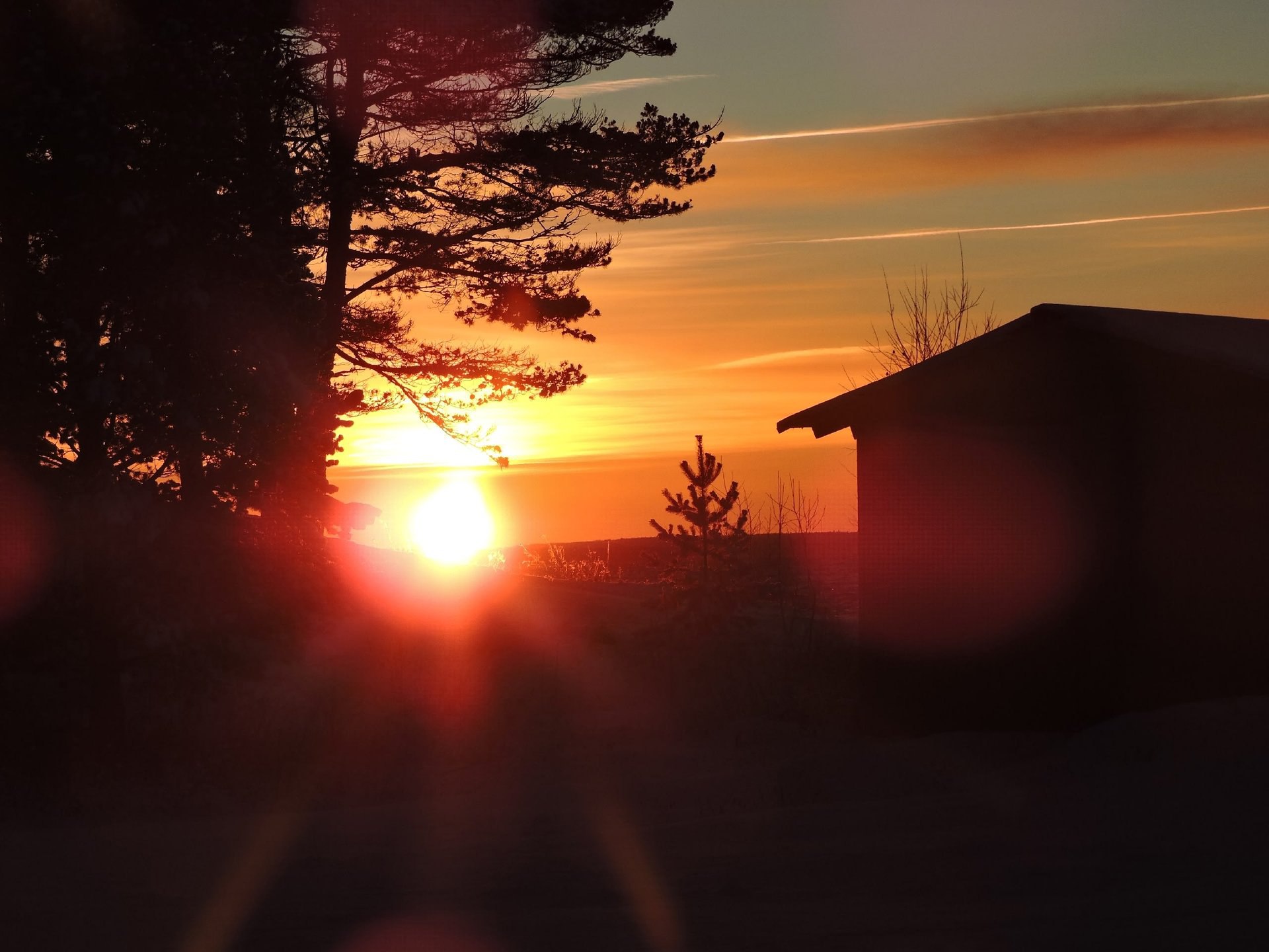 Утро на берегу Лёкшмозера. Яркие фотографии Марии Кривоноговой Утро на берегу Лёкшмозера. Яркие фотографии Марии Кривоноговой